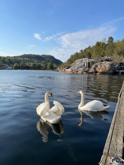 Ferienwohnung Leilighet Ved Sjoen Med Strand Porsgrunn Exterior foto